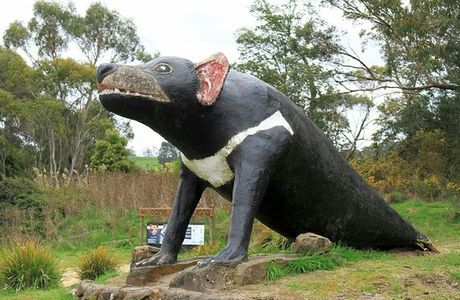 The Big Tasmanian Devil