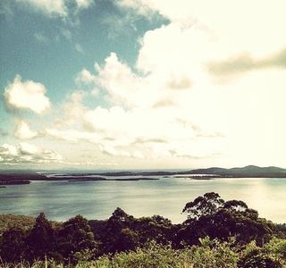 Whoota Whoota Lookout