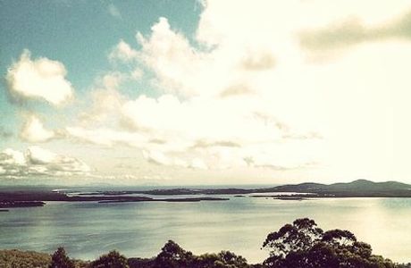 Whoota Whoota Lookout