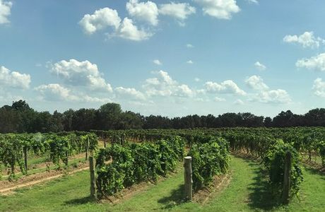 Wiederkehr Wine Cellars