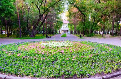 Aleksandr Moiseenko's Park