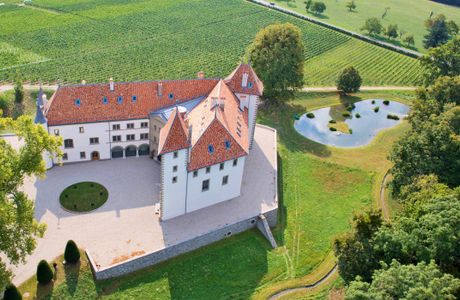 Chateau d' Allaman