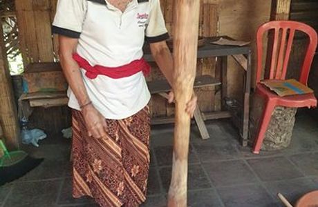 Ubud Sari Coffee Luwak Agrotourism