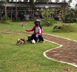 Ciwidey Rabbit Park