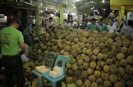 Durian Ucok