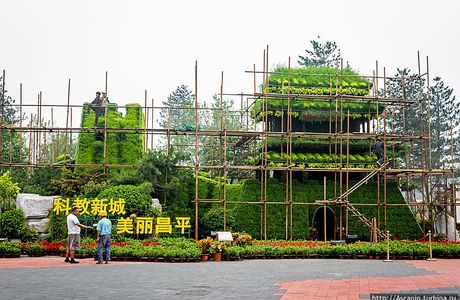 Rose Expo Garden