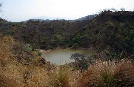 Nepli Reserve Forest