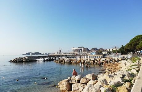 Plage Pour Les Chiens