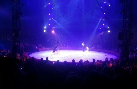 Cirque Arlette Gruss