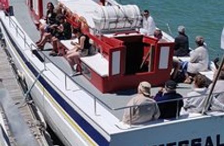 La Messaline - Peche et Promenade en Mer