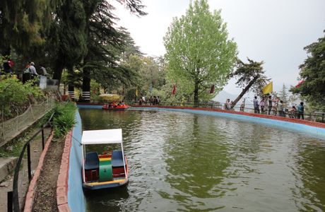 Company Garden