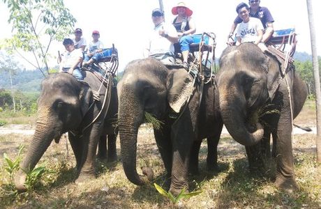 Bang Pae Safari