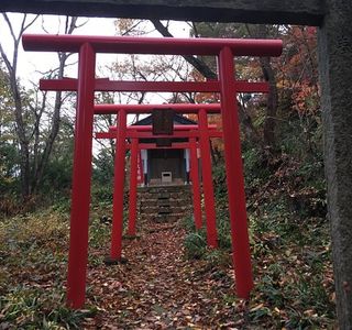Maizuru Inari Shrine