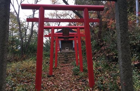 Maizuru Inari Shrine