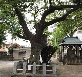 Asakane Shrine