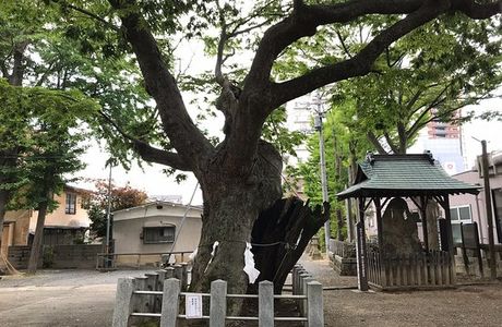 Asakane Shrine