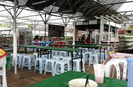 Taman Agro Al-Mashoor