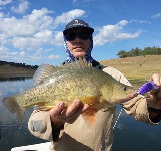 Glenlyon Dam Tourist Park
