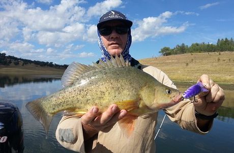Glenlyon Dam Tourist Park