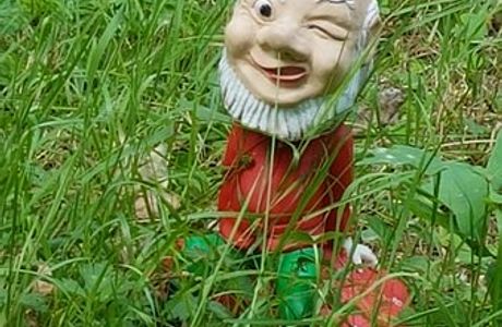Gnome Magic Garden