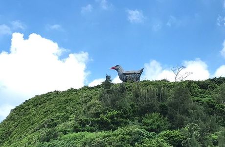 Yanbaru Kuina Lookout