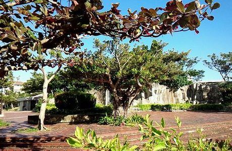 Shinei Park
