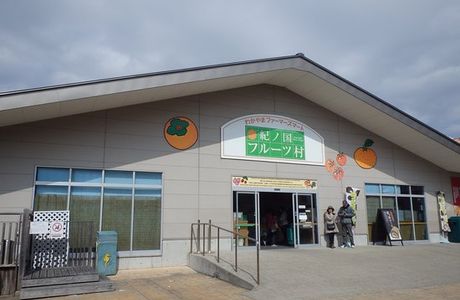 Kinokuni Fruit Village