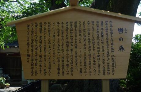Kutsuwa no Mori no Inuzakura