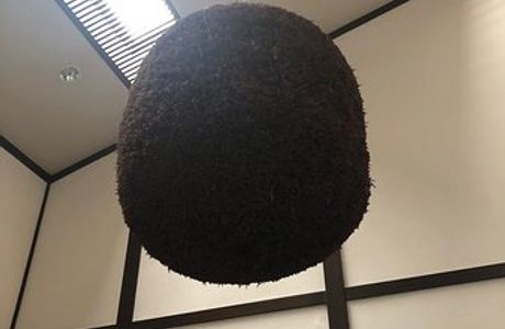 Chichibunishiki Syuzo MUseum