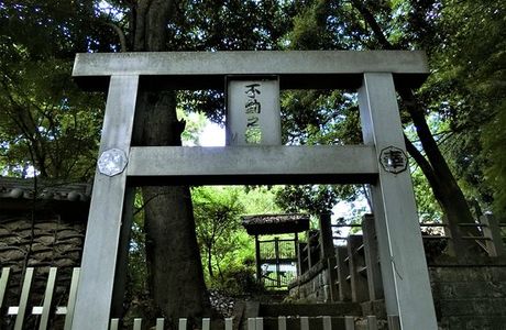 Jindai-ji Temple Fudo Waterfall