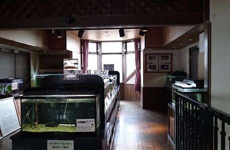 Kasumigaura General Park Nature Center