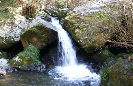 Ruri Valley