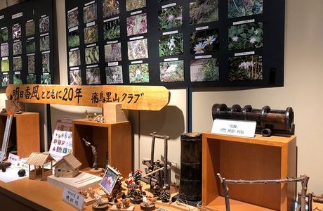 National Asuka History Park Museum
