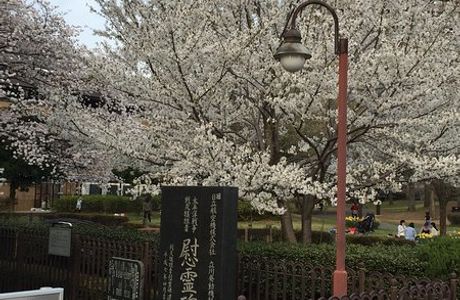 Higashiyamatominami Park