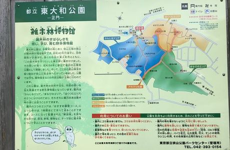 Higashiyamato Park