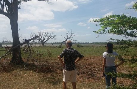 Lahugala Kitulana National Park