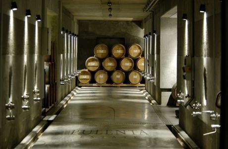 Pulenta Estate Winery