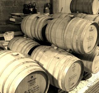 Dolium Winery