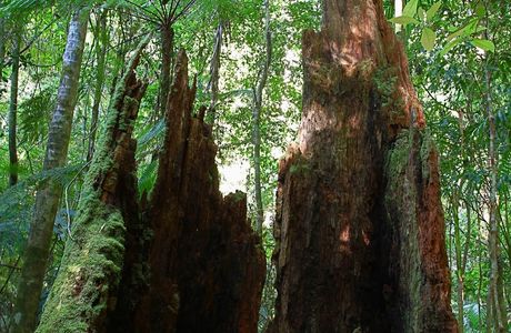 Coorabakh National Park