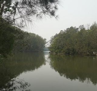 Bongil Bongil National Park
