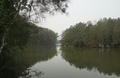 Bongil Bongil National Park