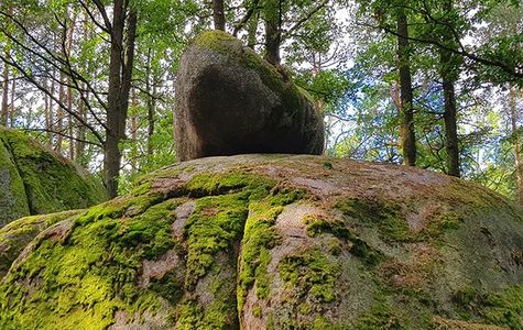 Naturpark Blockheide 1
