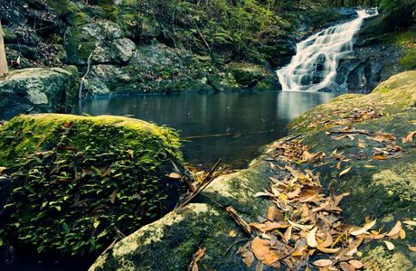 Kondalilla Falls