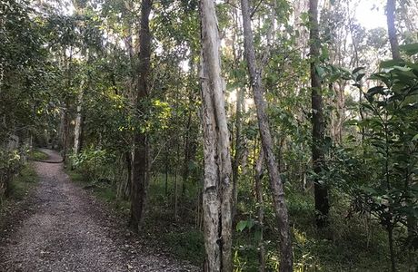 Alex Forest Conservation Area