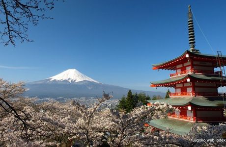 Sainokami no Fuji