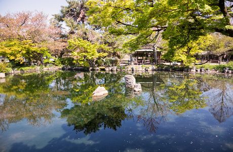 Maruyama Comprehensive Park