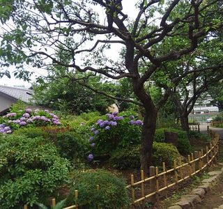 Yanagihara Chigusa Garden