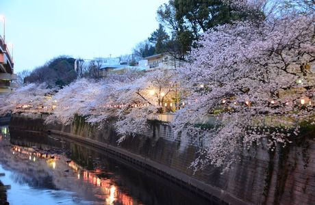 Edogawa Park