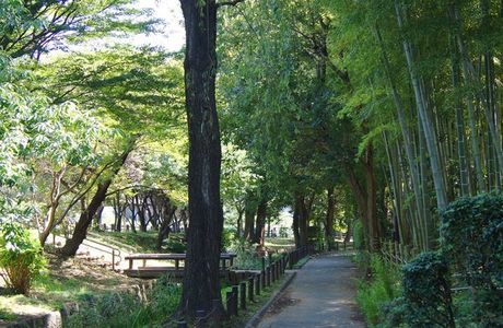 Jidayubori Park