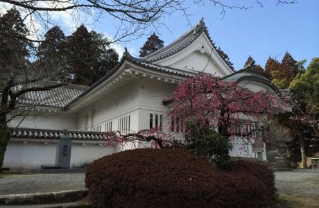 Obi Castle History Museum